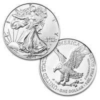 Strieborná minca American Silver Eagle 1 oz (2021) Type2