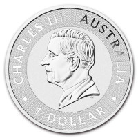 Strieborná minca Australian Kangaroo 1 oz (2025)